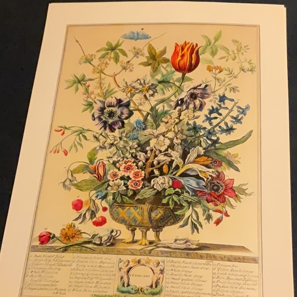 Flowers of the month prints, bundle of August February and October - Picture 13 of 13